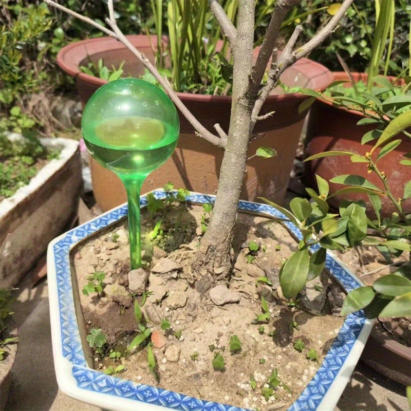 6PCS Indoor Plants Self Wateri - Plant Parent Kit recension och pris
