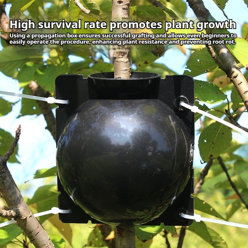 10pcs Plant Propagation Kit: H - Plant Parent Kit recension och pris